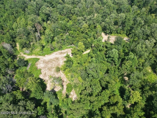375± Acres in Jefferson County, MS Near Natchez Trace