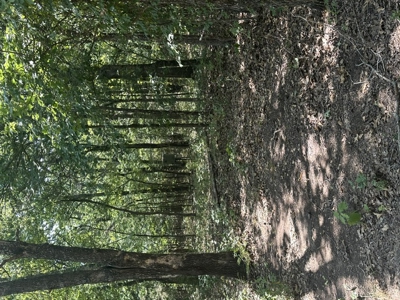 Land for Sale - Great Hunting - Build your Dream Home! - image 21