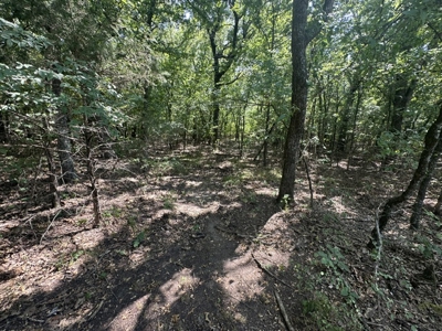 Land for Sale - Great Hunting - Build your Dream Home! - image 12