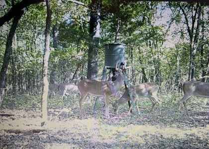 Land for Sale - Great Hunting - Build your Dream Home! - image 39
