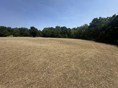 Land for Sale - Great Hunting - Build your Dream Home! - image 4