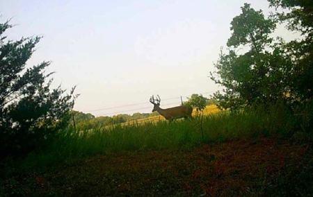 Land for Sale - Great Hunting - Build your Dream Home! - image 43