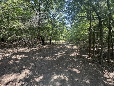 Land for Sale - Great Hunting - Build your Dream Home! - image 32