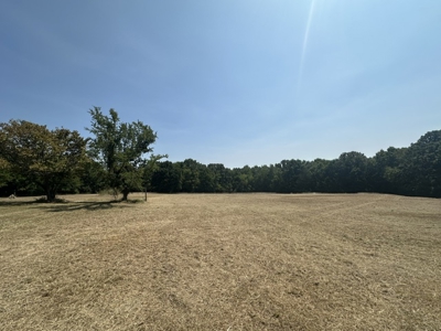 Land for Sale - Great Hunting - Build your Dream Home! - image 27
