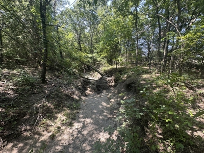 Land for Sale - Great Hunting - Build your Dream Home! - image 16