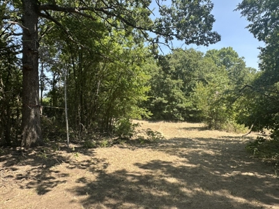 Land for Sale - Great Hunting - Build your Dream Home! - image 22