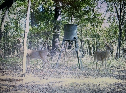 Land for Sale - Great Hunting - Build your Dream Home! - image 38