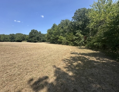 Land for Sale - Great Hunting - Build your Dream Home! - image 17