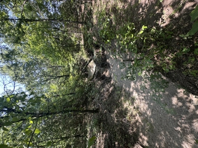 Land for Sale - Great Hunting - Build your Dream Home! - image 14