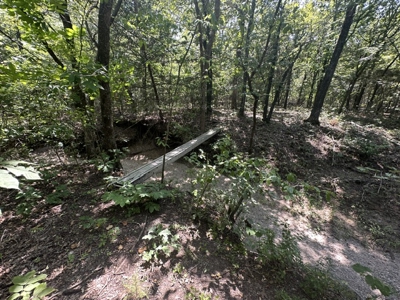 Land for Sale - Great Hunting - Build your Dream Home! - image 13