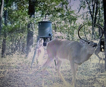 Land for Sale - Great Hunting - Build your Dream Home! - image 37