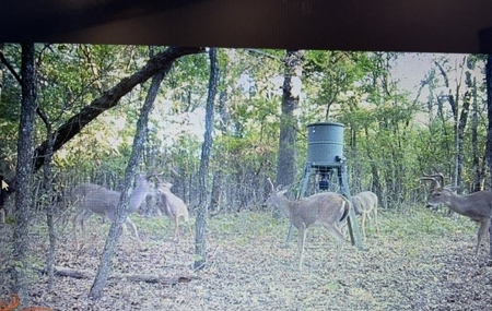 Land for Sale - Great Hunting - Build your Dream Home! - image 34