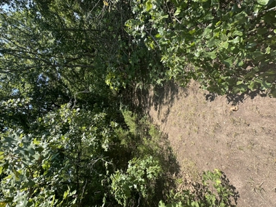 Land for Sale - Great Hunting - Build your Dream Home! - image 11