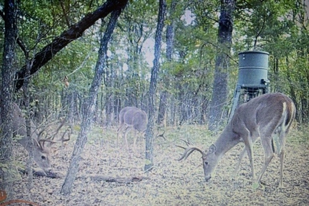 Land for Sale - Great Hunting - Build your Dream Home! - image 36