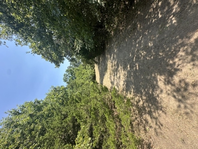Land for Sale - Great Hunting - Build your Dream Home! - image 19