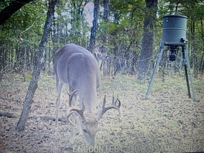 Land for Sale - Great Hunting - Build your Dream Home! - image 35