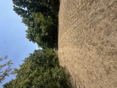 Land for Sale - Great Hunting - Build your Dream Home! - image 18