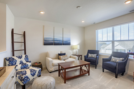Better Than New Construction in Johnstown Farms!  Price Reduced! - image 13