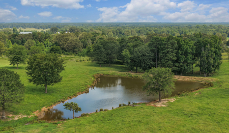 72.69-Acre Hilltop Ranch/ Pasture Land for Sale in De Kalb, TX - image 2