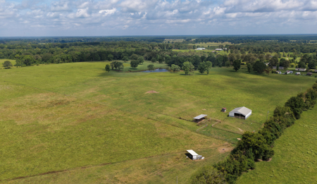 72.69-Acre Hilltop Ranch/ Pasture Land for Sale in De Kalb, TX - image 6