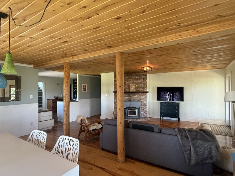 No Caption