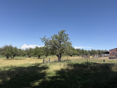 Charming Colorado Country Dream Home in Dolores Colorado - image 15