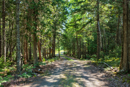 Private Oceanfront Home - Lubec, Maine - image 35