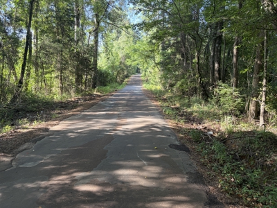 East Texas Hunting and Timber Property - image 5