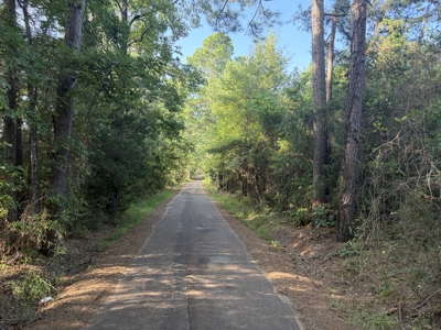 East Texas Hunting and Timber Property - image 3