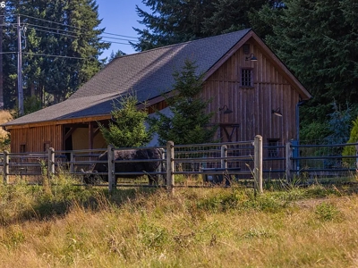 Historic Amboy Homestead with Barn - image 34