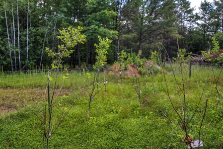 65+/- Acres of Turnkey Whitetail Country Minutes from Castle Rock - image 23