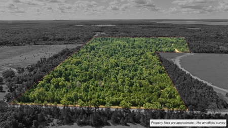 65+/- Acres of Turnkey Whitetail Country Minutes from Castle Rock - image 2