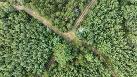 65+/- Acres of Turnkey Whitetail Country Minutes from Castle Rock - image 4
