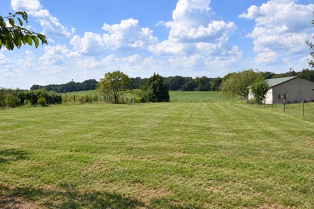 TN Country Home on 2.5 Acres with a turnkey mini farm - image 32