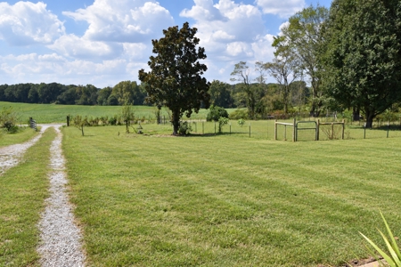 TN Country Home on 2.5 Acres with a turnkey mini farm - image 30