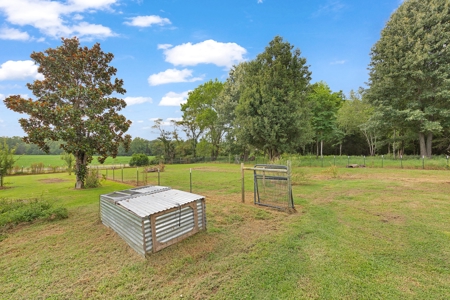 TN Country Home on 2.5 Acres with a turnkey mini farm - image 26