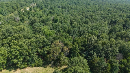 Commercial Building And Land For Sale In North Central Arkansas - image 12