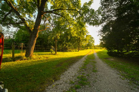 Home for Sale Vernon County, Missouri - image 9