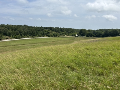 100 Acre Ranch Land For Sale West Of Jay, Ok - image 6
