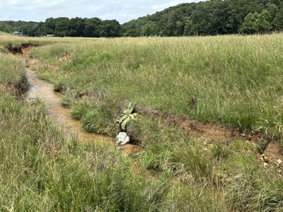 100 Acre Ranch Land For Sale West Of Jay, Ok - image 14