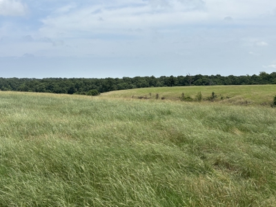 100 Acre Ranch Land For Sale West Of Jay, Ok - image 7