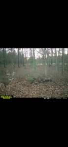 150+/- Acre Juneau County Hunting & Recreational Estate Home - image 29