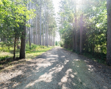 150+/- Acre Juneau County Hunting & Recreational Estate Home - image 48