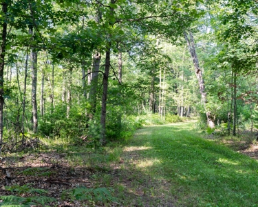 150+/- Acre Juneau County Hunting & Recreational Estate Home - image 41