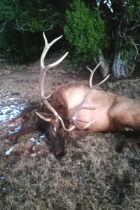 Colorado Big Game Outfitting business Michael Krieg Broker - image 5