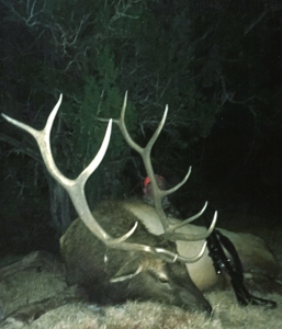 Colorado Big Game Outfitting business Michael Krieg Broker - image 37