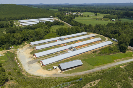 Premier 12-House Poultry Farm with Strong Income Potential - image 16