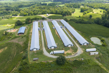 Premier 12-House Poultry Farm with Strong Income Potential - image 20