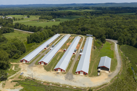 Premier 12-House Poultry Farm with Strong Income Potential - image 17
