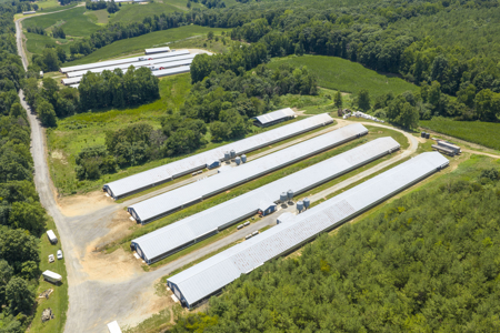 Premier 12-House Poultry Farm with Strong Income Potential - image 8